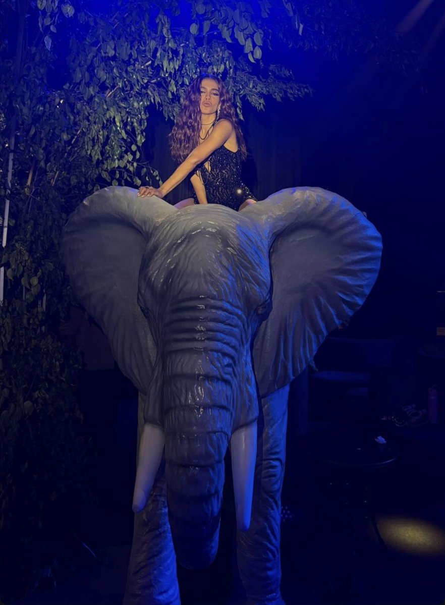 Track Anitta tweet media