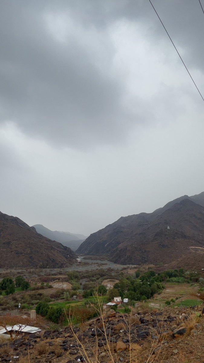 زيـاد العُمري tweet media