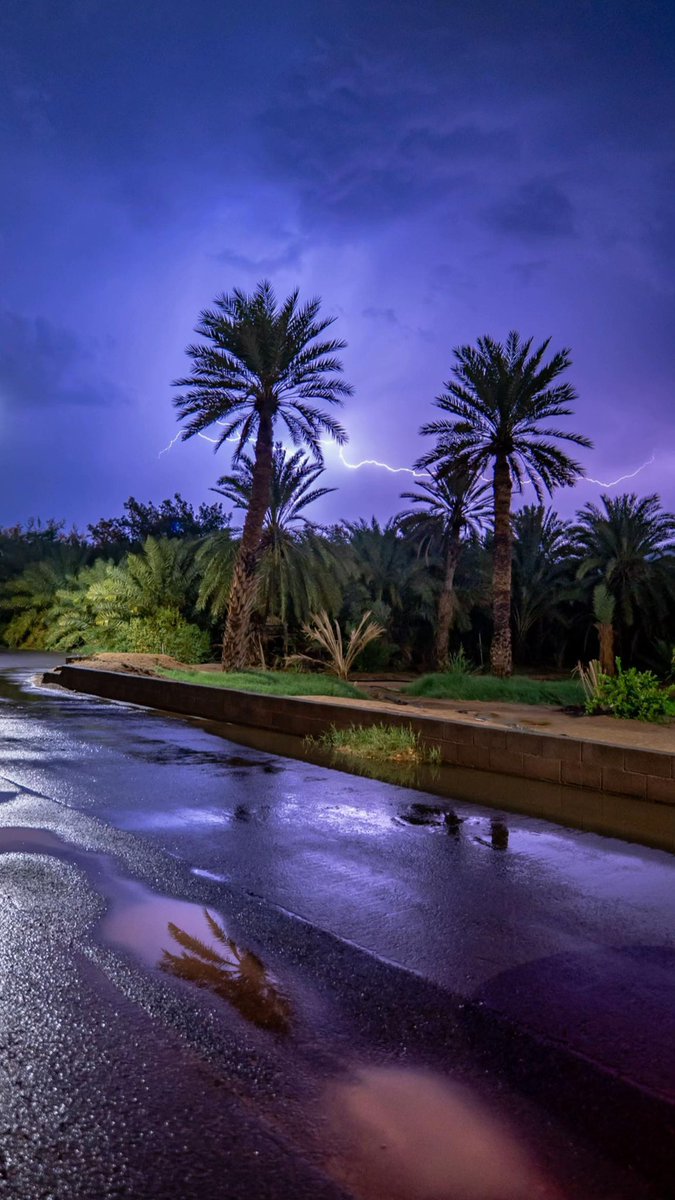 المملكة tweet media