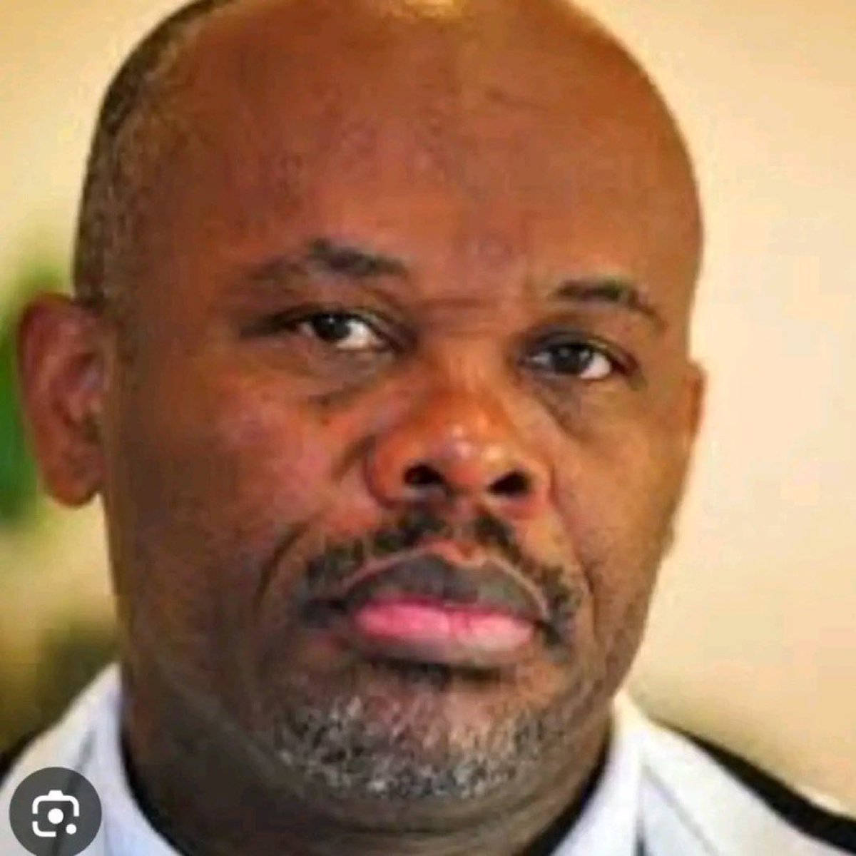 MDN NEWS tweet media