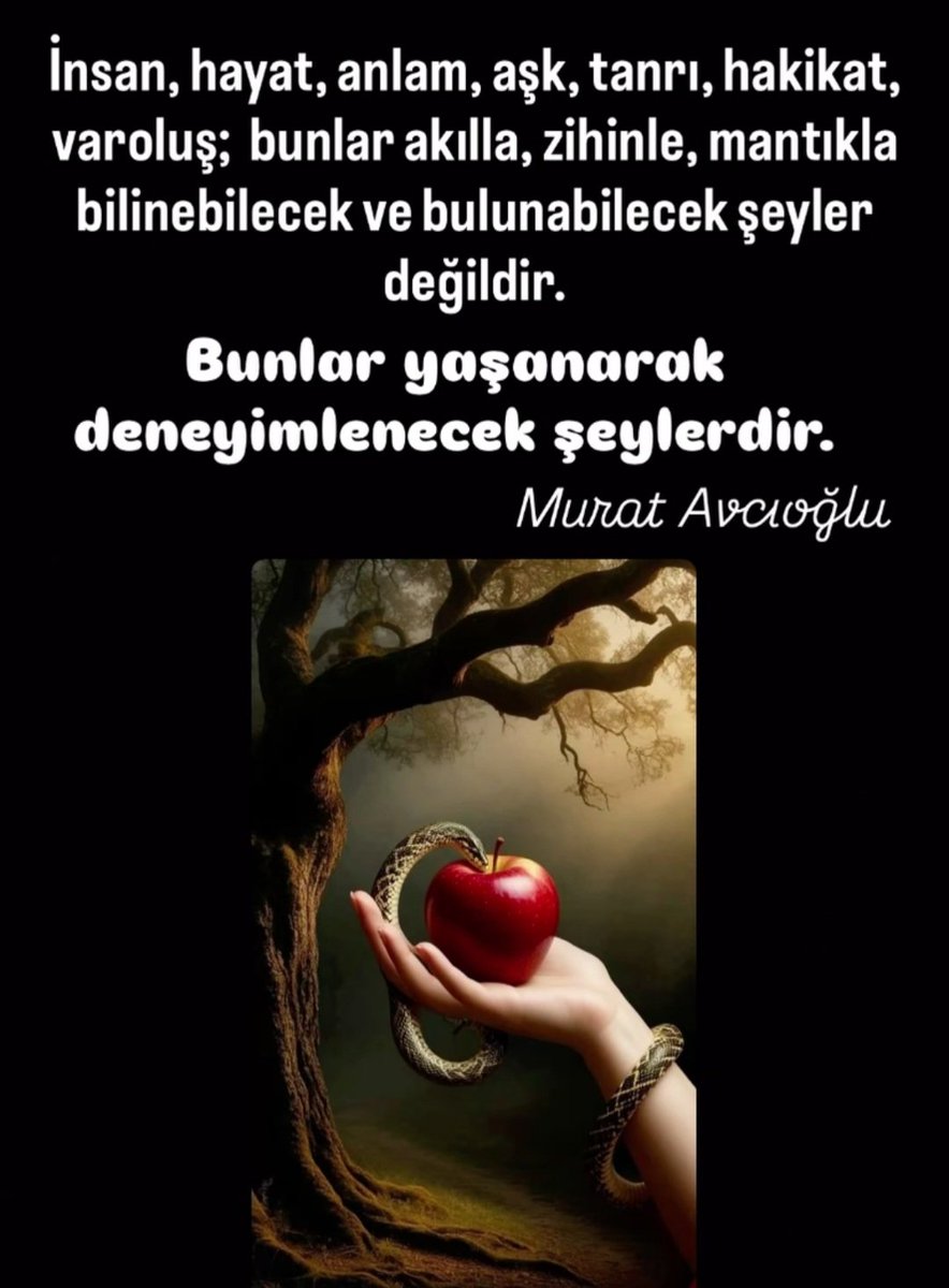 cihanbora tweet media