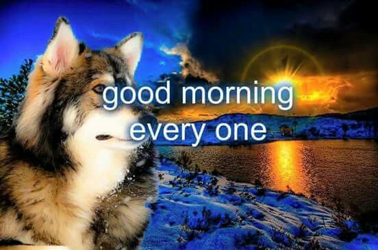 Mamba 🌈🐎🏹 tweet media