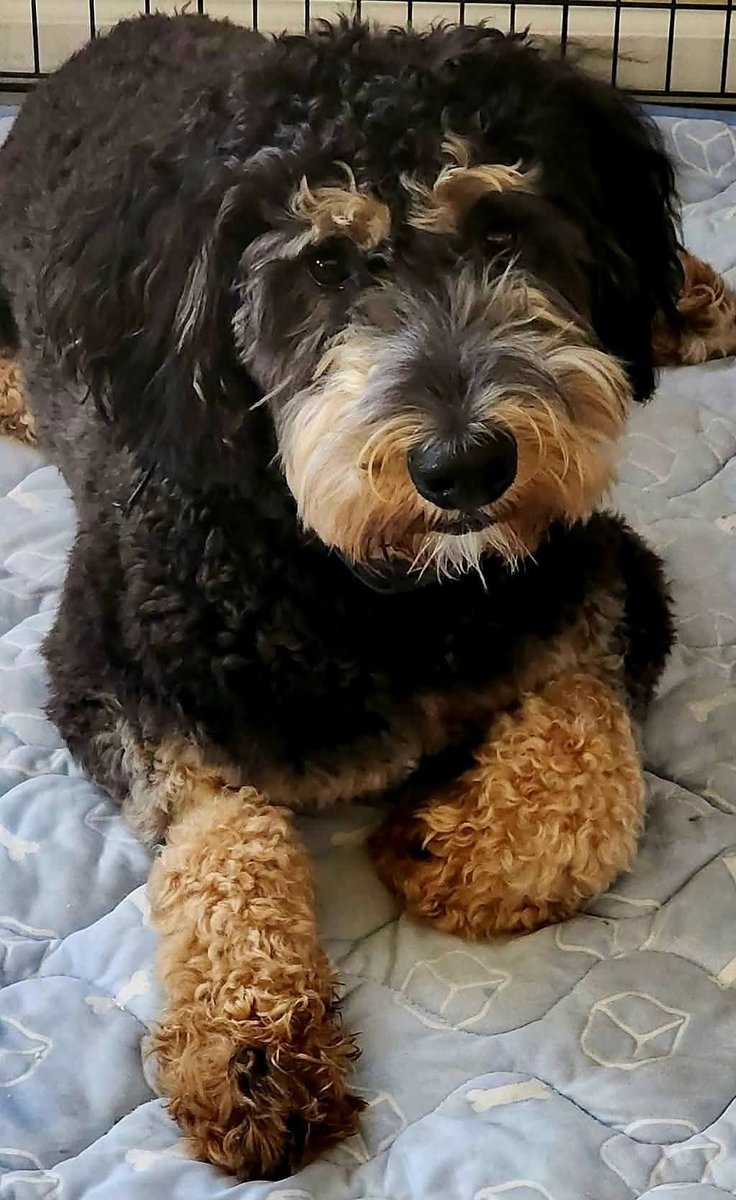 Samanthas Friends tweet media