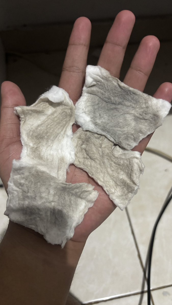 BigBoyCrush tweet media