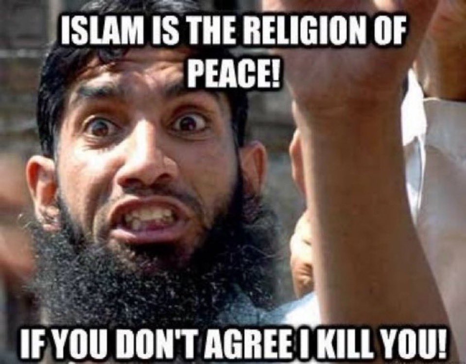 Churchill fan tweet media