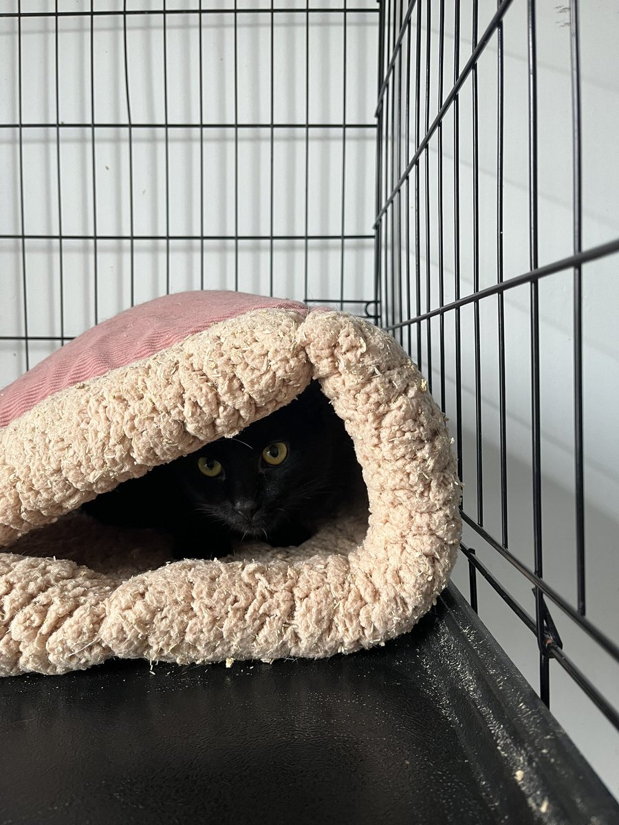 marta ᖭི༏ᖫྀ tweet media