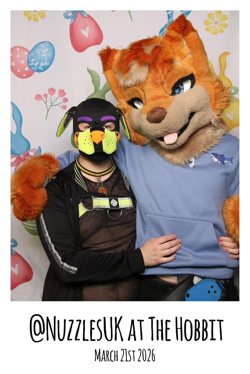 Freaky Apollo™ tweet media