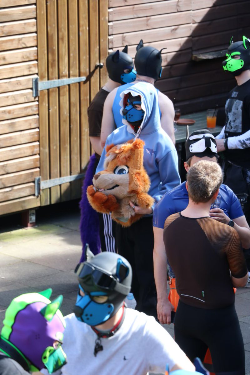 Freaky Apollo™ tweet media