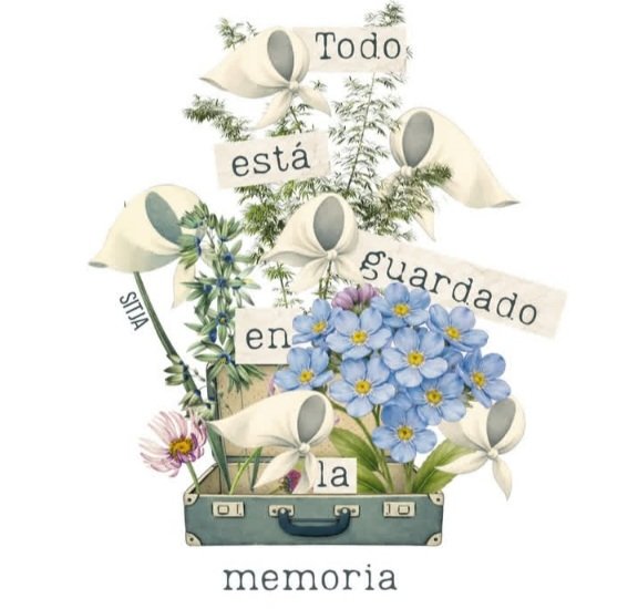 RosiCharo tweet media