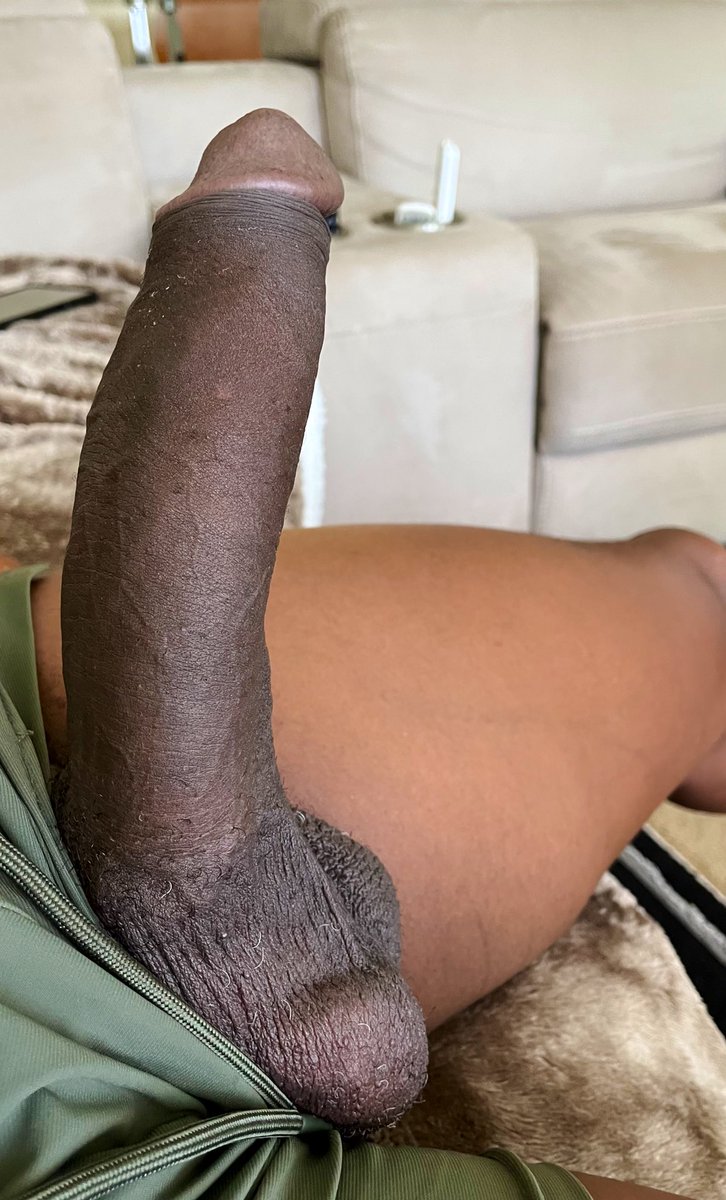 WaDaKaMo tweet media