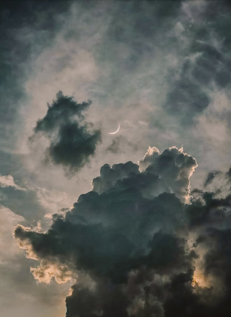 dans 🔰 tweet media