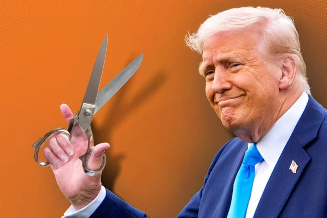 Radek Pyffel tweet media