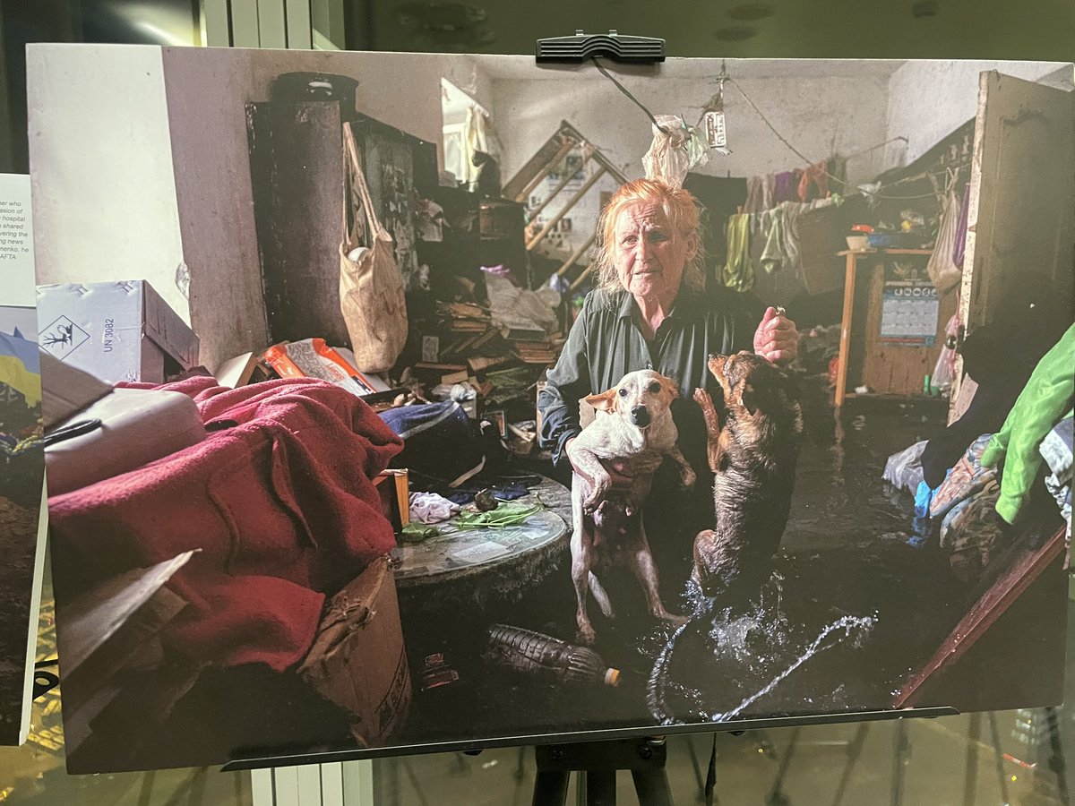 Estefania Molina tweet media