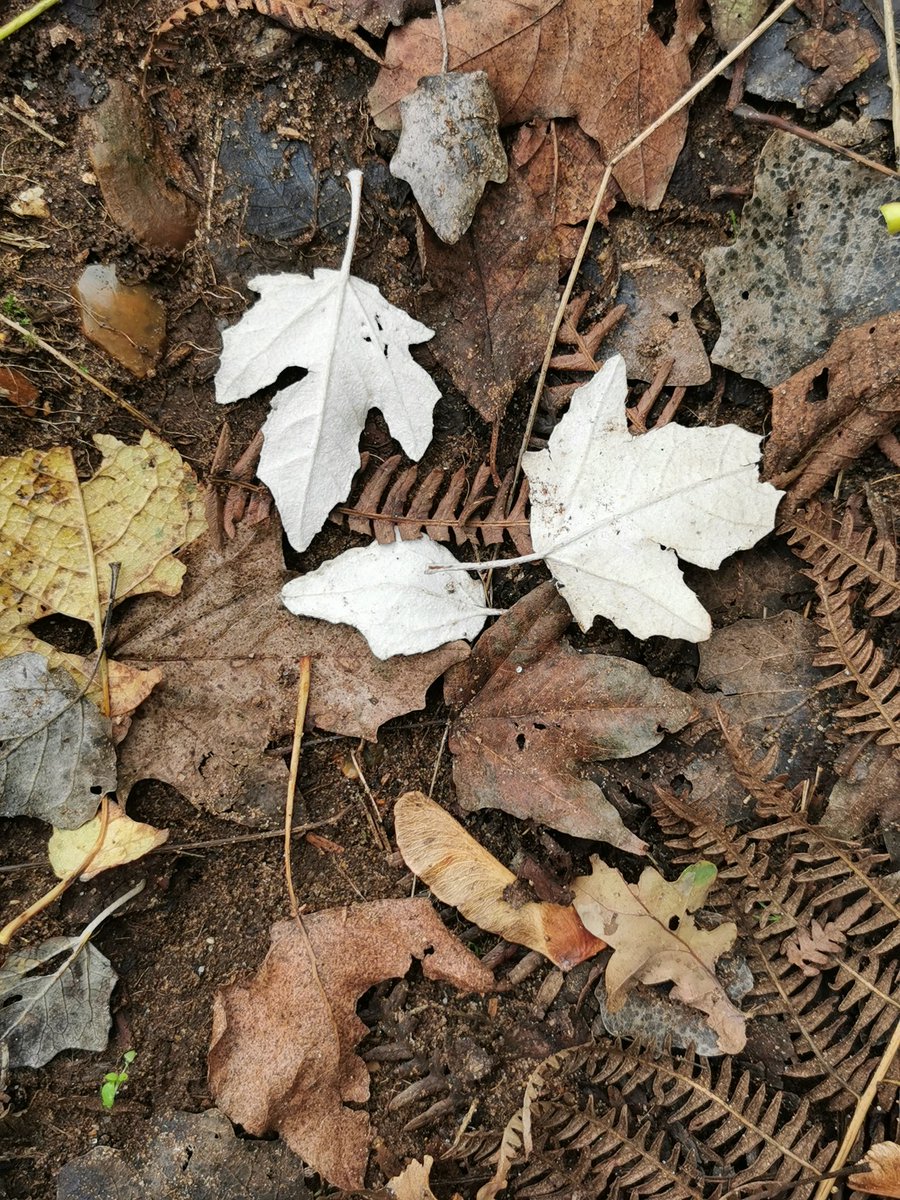 Connect: RiversideScripture tweet media