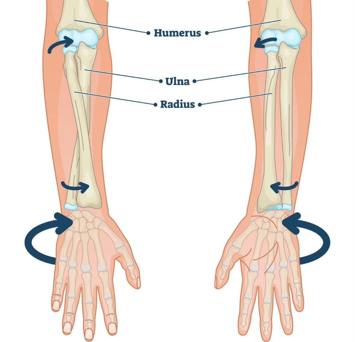Peşindeyiz Galatasaray! tweet media