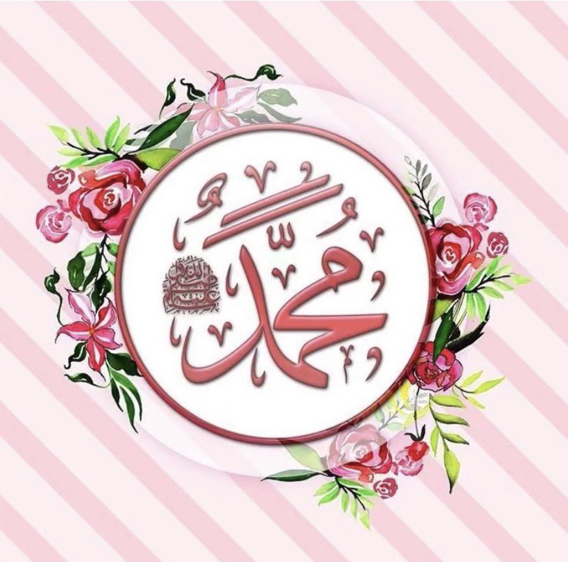 Black Sea Wind 6116 Kuzey Bey (Northerner) tweet media