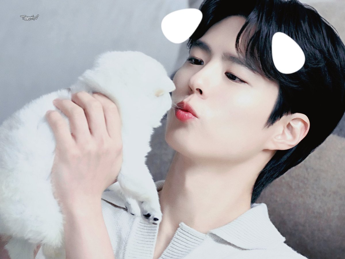 Teeth🦷‎‎ ྀི tweet media