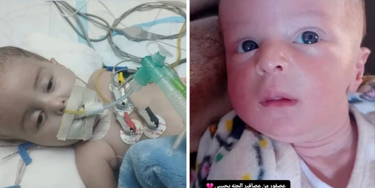 Dr.mostafa project🇵🇸𓂆 tweet media