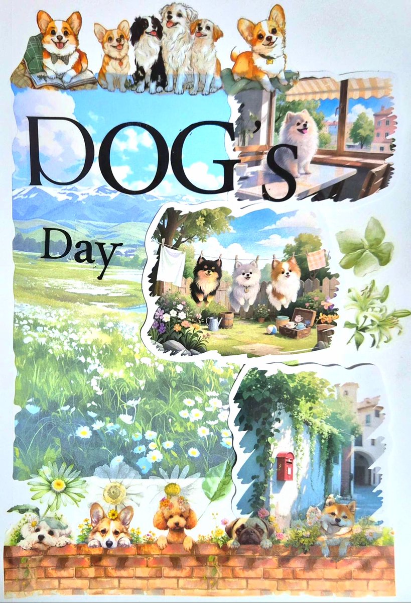 다꾸기록 tweet media