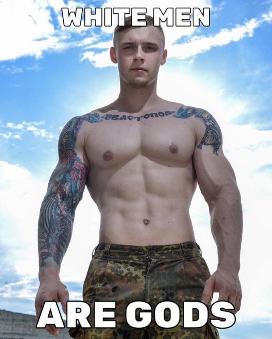 TradWhiteAlpha tweet media