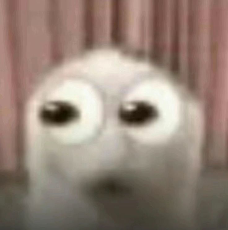 The Caretaker tweet media