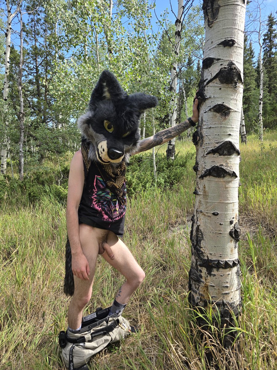 Cedar 🔜 LVFC tweet media