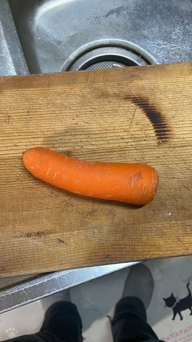 ニャンピョウ　RN　オカメインコ tweet media