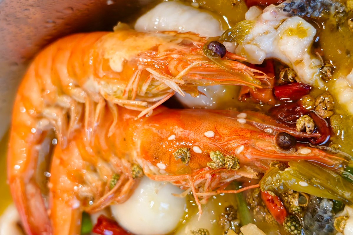 不吃豆的豆 tweet media