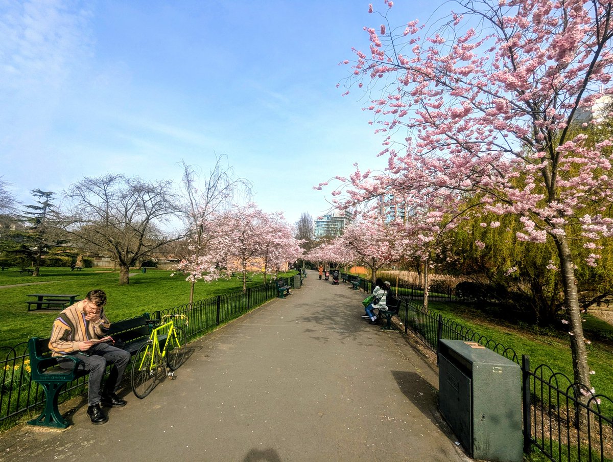 simon read tweet media