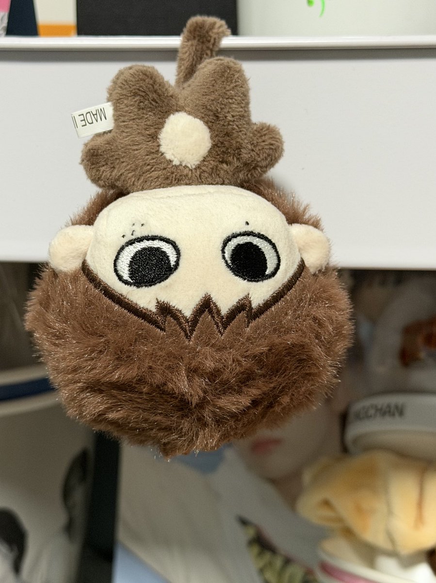 zzzoo… tweet media