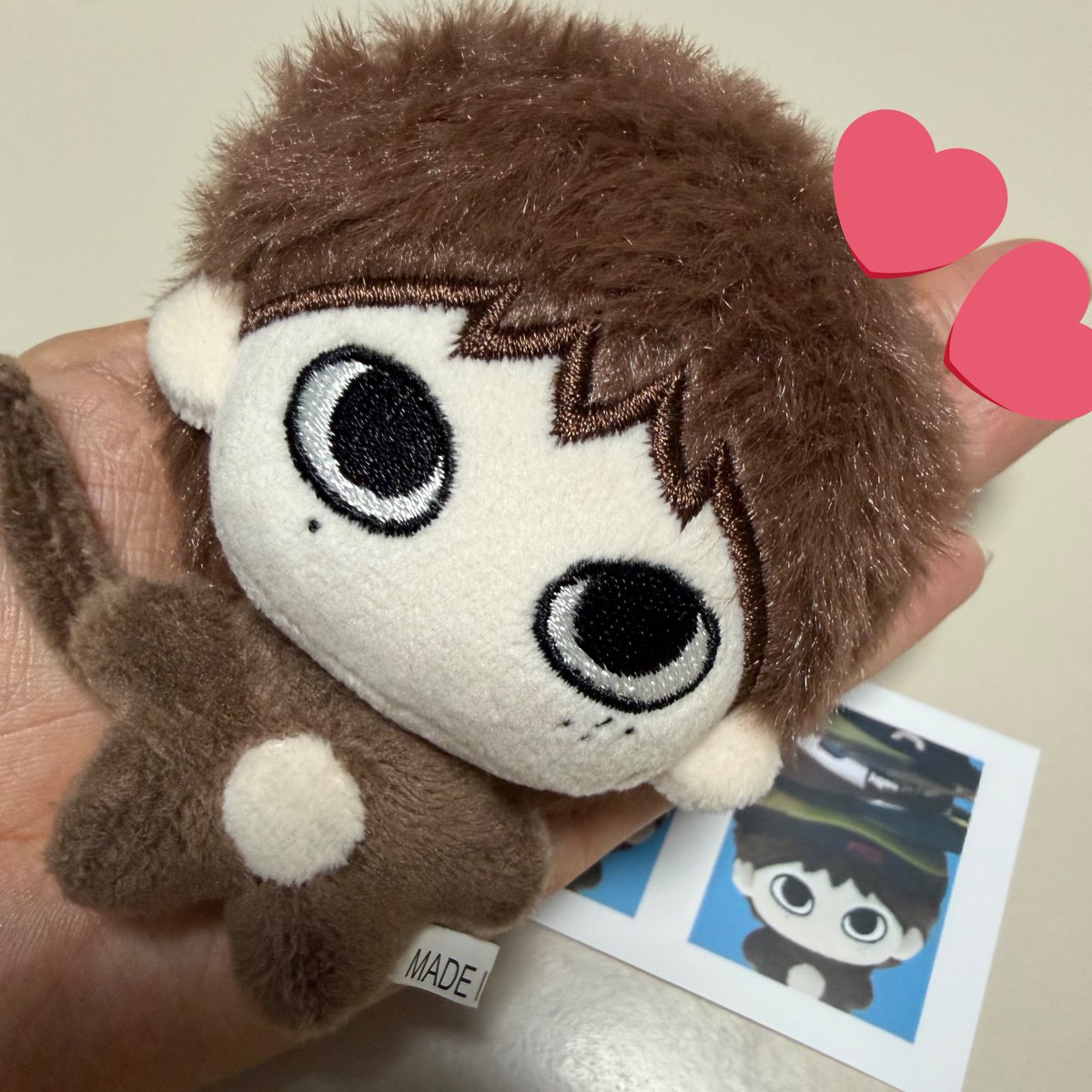 zzzoo… tweet media