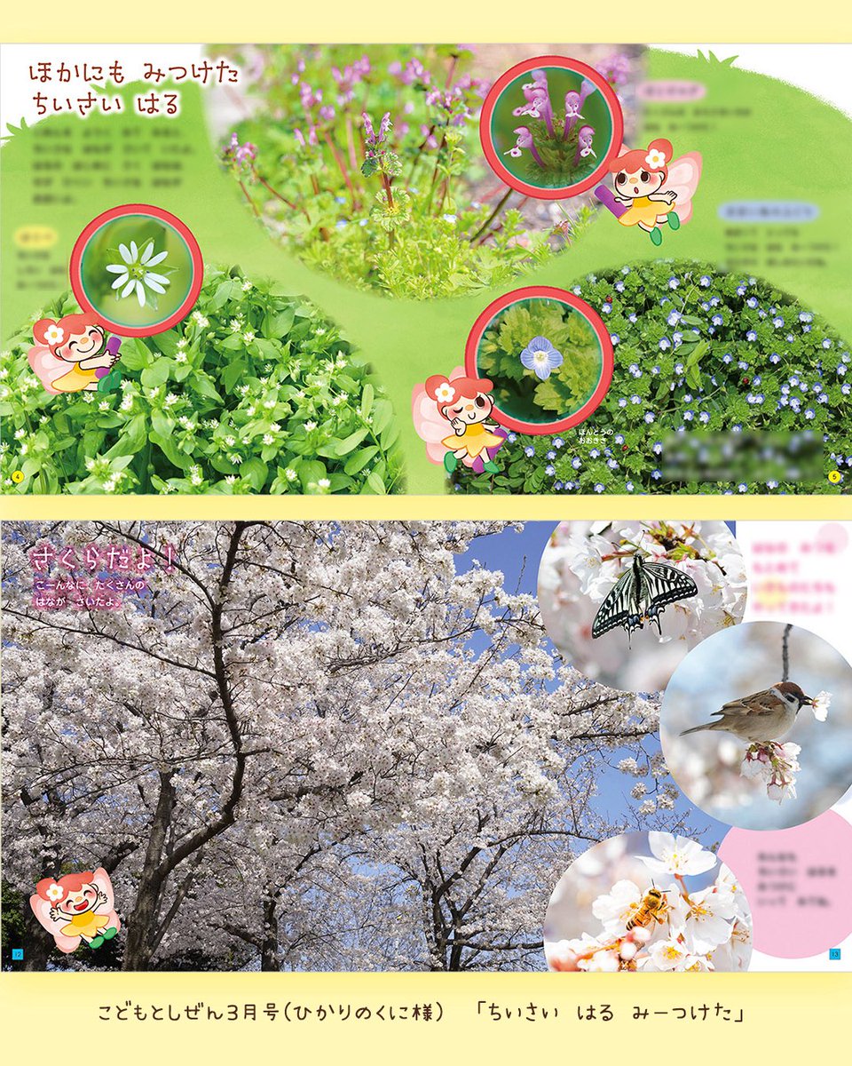 はるかんぼ🍒イラストレーター tweet media