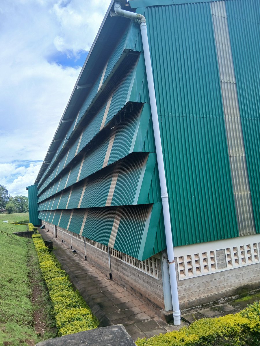 CHEBOSENGERE👑 tweet media