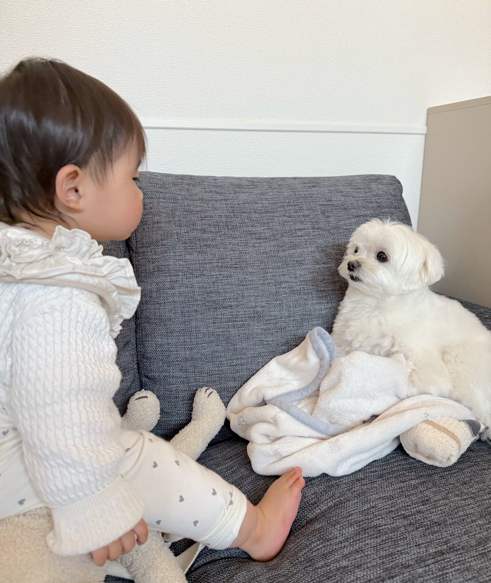 ちくわさん tweet media