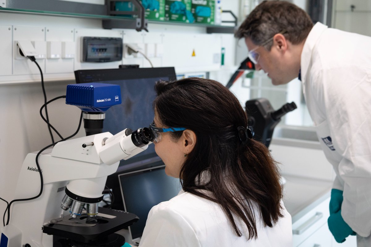 Yara International tweet media