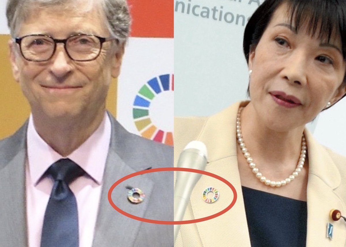 Kumashun🇯🇵🐻💎 tweet media