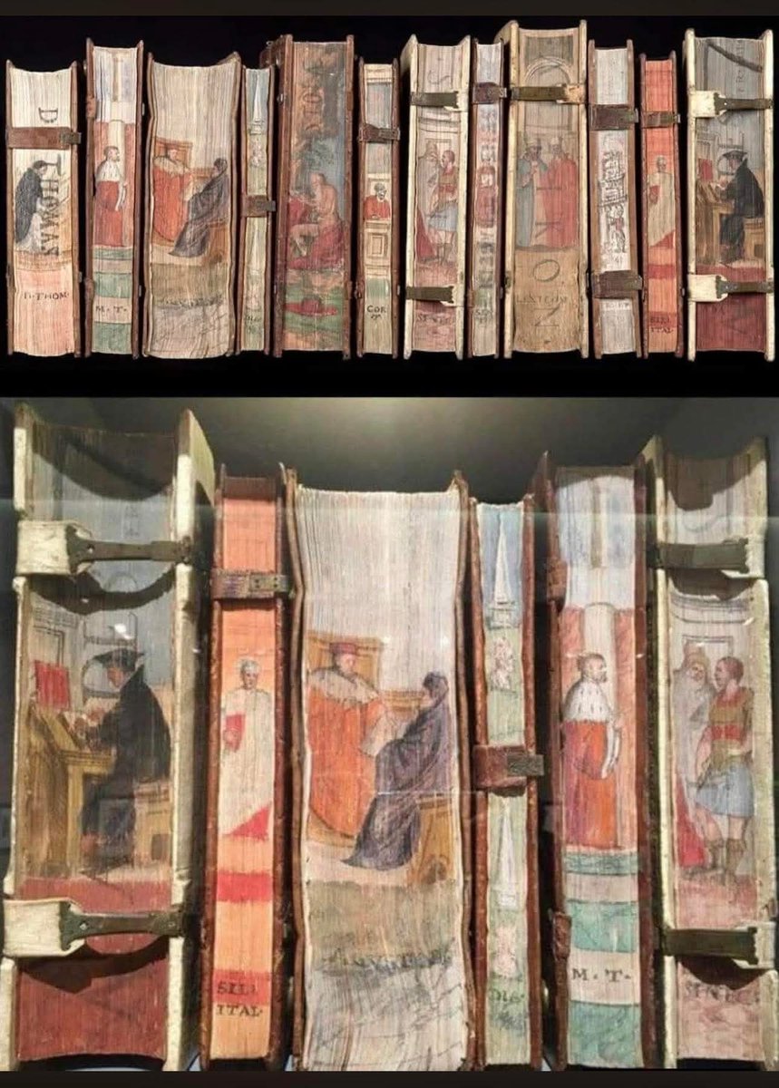 Sophia Proneikos tweet media