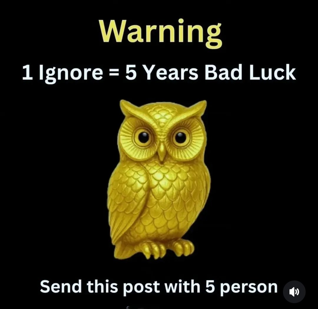 Law_of_attraction tweet media