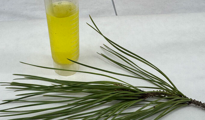 Gaceta Médica tweet media