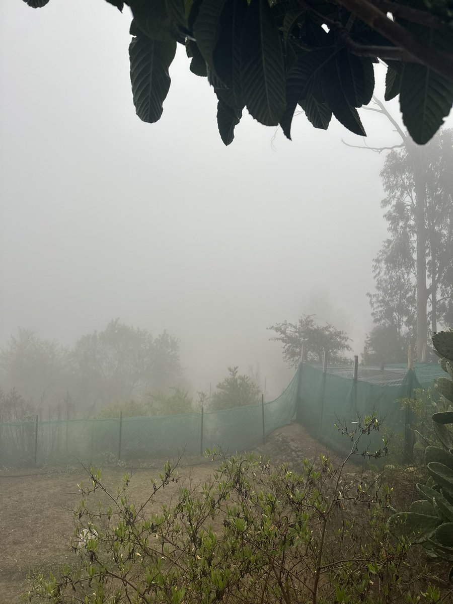 محمد الزهراني |m.zhrani🇸🇦 tweet media