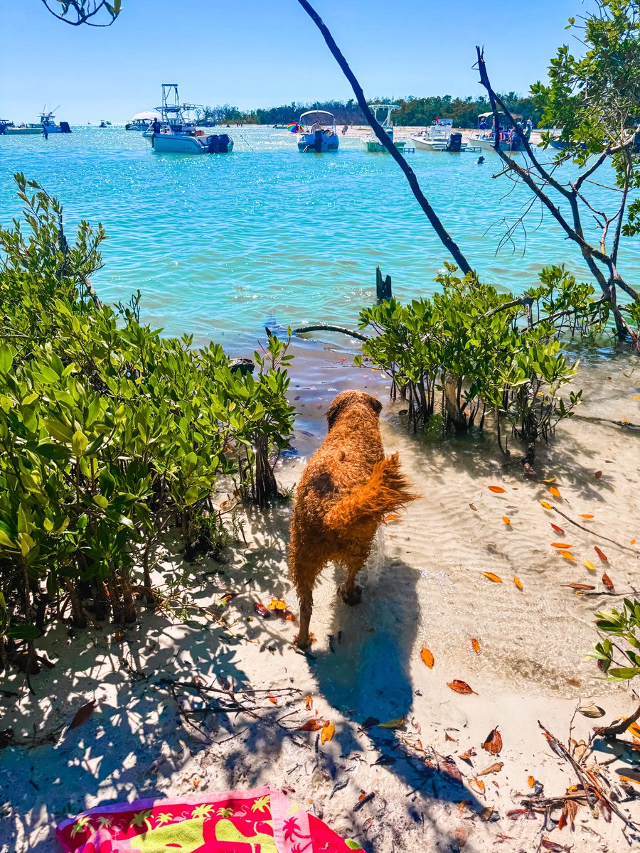 Alexandra Todd tweet media