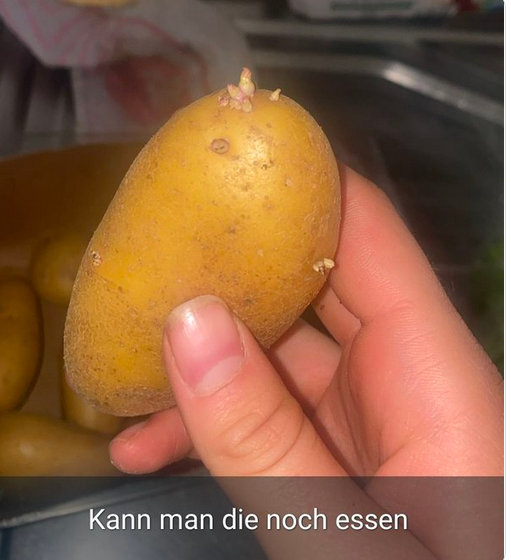 Ganesha 🇩🇪🇮🇳 tweet media