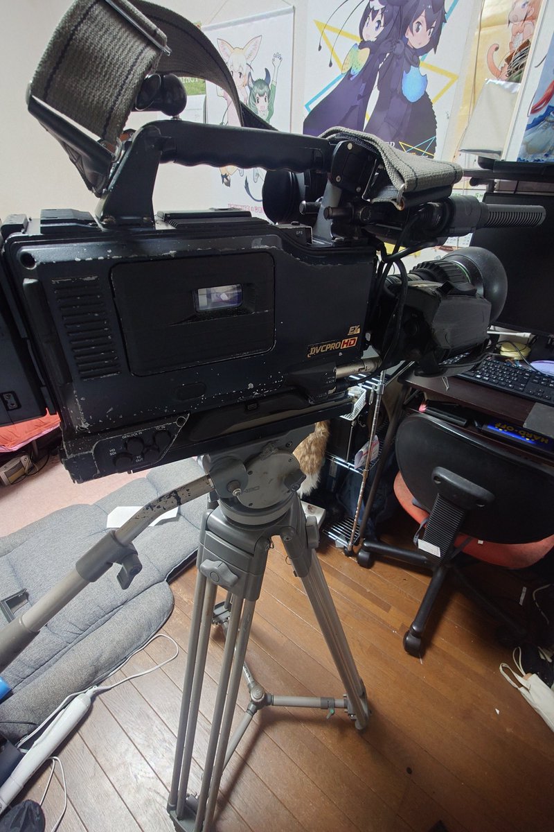 桜橋 しずき@コスフロ二日目 tweet media