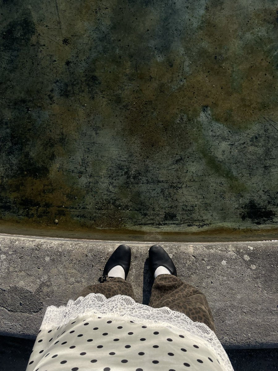 Sealseal tweet media