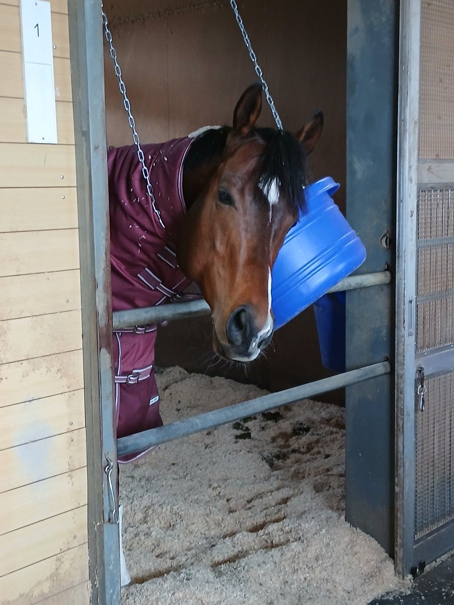 山下優(スポーツ報知)🏇 tweet media