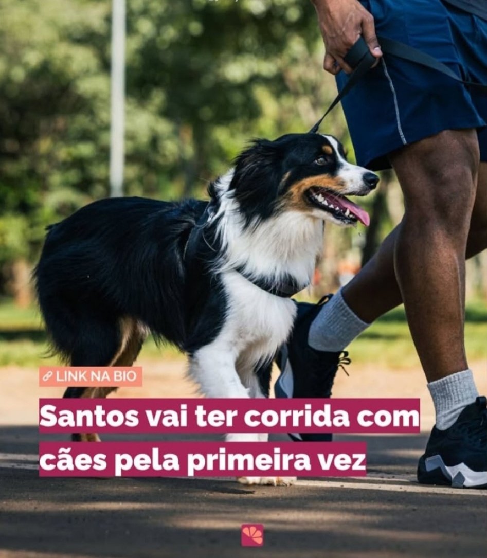 Daniel Costa tweet media