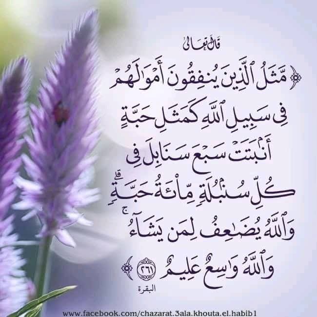 M7MD🇸🇩NEEDS tweet media