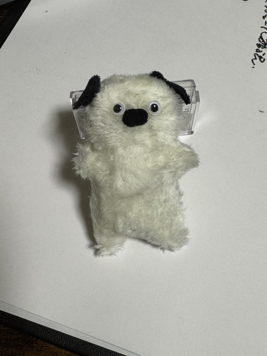 中川苦行 tweet media