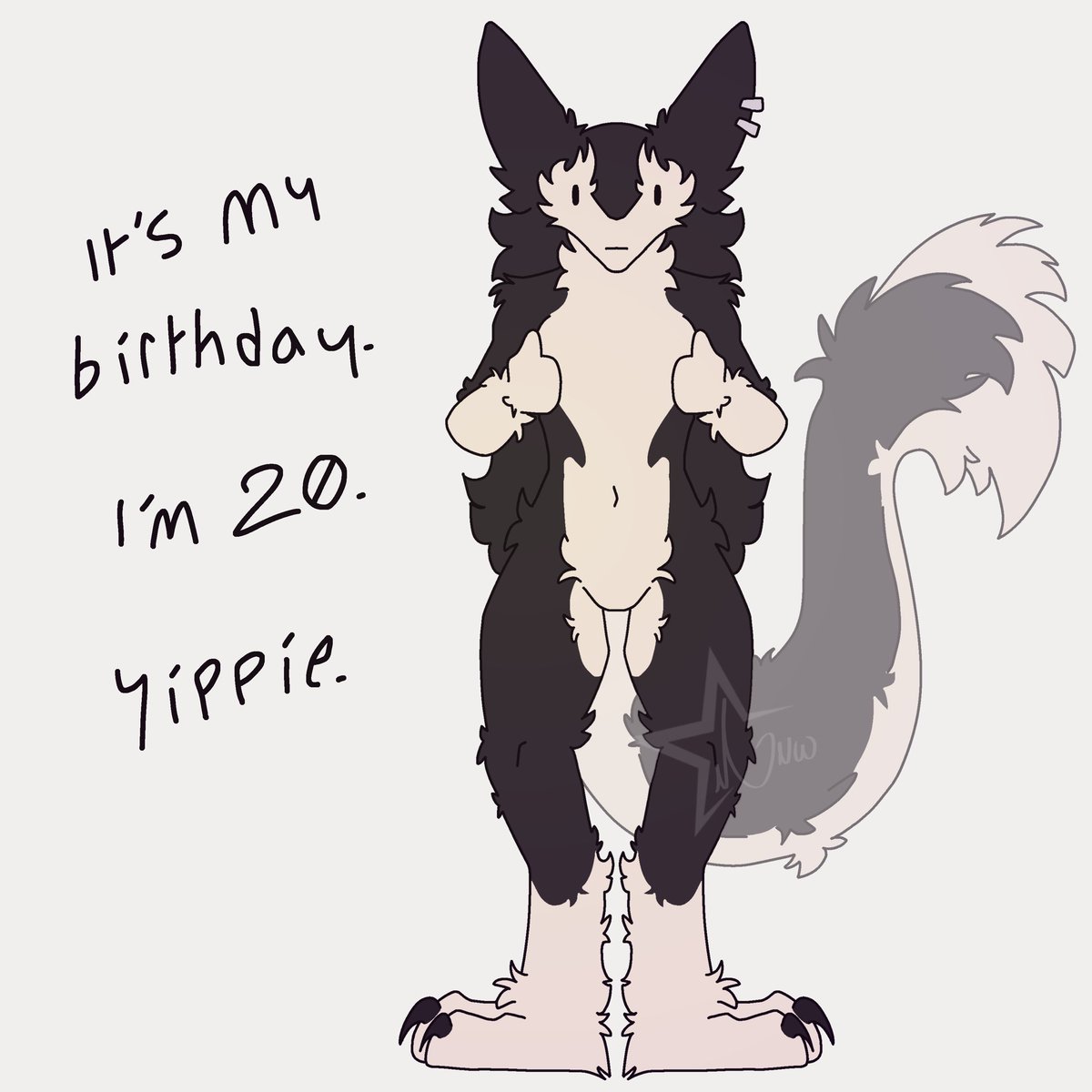 🎀 Orca 🎀 tweet media