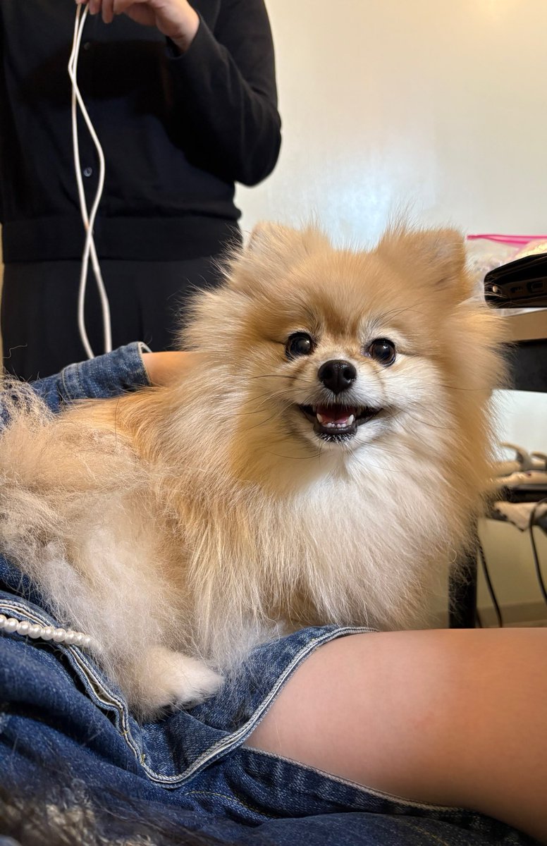 浜辺美波 tweet media